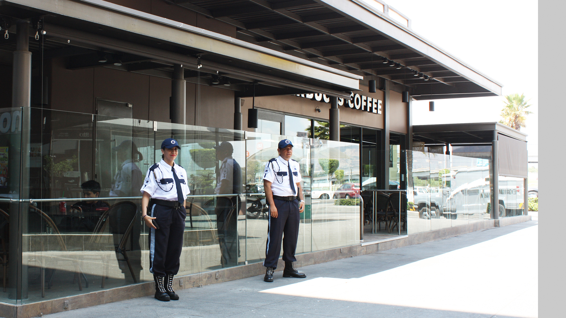 Vigilancia Plazas Comerciales