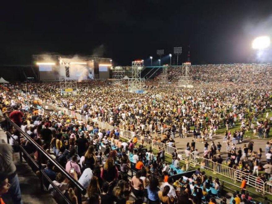 Seguridad Conciertos y Festivales